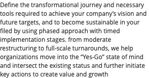 Define the transformational journey and necessary tools required to achieve your company’s vision and future targets, and to become sustainable in your filed by using phased approach with timed implementation stages. from moderate restructuring to full-scale turnarounds, we help organizations move into the “Yes-Go” state of mind and intersect the existing status and further initiate key actions to create value and growth