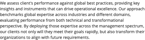 We assess client's performance against global best practices, providing key insights and instruments that can drive operational excellence. Our approach benchmarks global expertise across industries and different domains, evaluating performance from both technical and transformational perspective. By deploying those expertise across the management spectrum, our clients not only will they meet their goals rapidly, but also transform their organizations to align with future requirements.