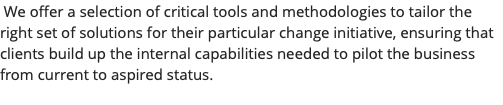  We offer a selection of critical tools and methodologies to tailor the right set of solutions for their particular change initiative, ensuring that clients build up the internal capabilities needed to pilot the business from current to aspired status. 