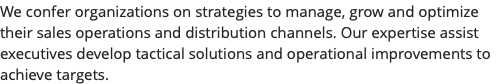 We confer organizations on strategies to manage, grow and optimize their sales operations and distribution channels. Our expertise assist executives develop tactical solutions and operational improvements to achieve targets. 