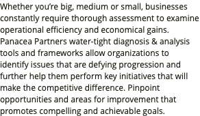 Whether you’re big, medium or small, businesses constantly require thorough assessment to examine operational efficiency and economical gains. Panacea Partners water-tight diagnosis & analysis tools and frameworks allow organizations to identify issues that are defying progression and further help them perform key initiatives that will make the competitive difference. Pinpoint opportunities and areas for improvement that promotes compelling and achievable goals.