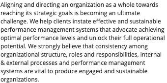 Aligning and directing an organization as a whole towards reaching its strategic goals is becoming an ultimate challenge. We help clients instate effective and sustainable performance management systems that advocate achieving optimal performance levels and unlock their full operational potential. We strongly believe that consistency among organizational structure, roles and responsibilities, internal & external processes and performance management systems are vital to produce engaged and sustainable organizations.