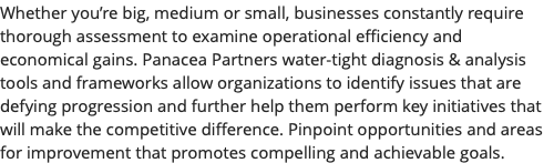 Whether you’re big, medium or small, businesses constantly require thorough assessment to examine operational efficiency and economical gains. Panacea Partners water-tight diagnosis & analysis tools and frameworks allow organizations to identify issues that are defying progression and further help them perform key initiatives that will make the competitive difference. Pinpoint opportunities and areas for improvement that promotes compelling and achievable goals.