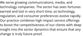 We serve growing communications, media, and technology companies. The sector has seen fortunes earned and lost in very short time, as technology, regulation, and consumer preferences evolve rapidly. Our practice combines high impact service offerings to boost the competitiveness of our clients with deep insight into the sector dynamics that ensure that any change is truly future proof.